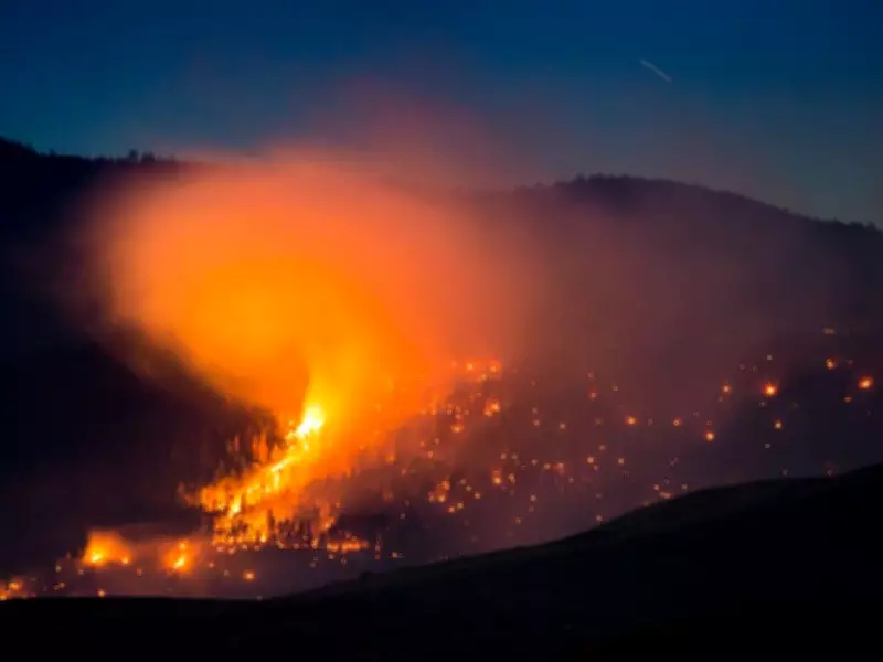Enhanced Government Coordination Key to B.C.'s Wildfire Resilience Strategy