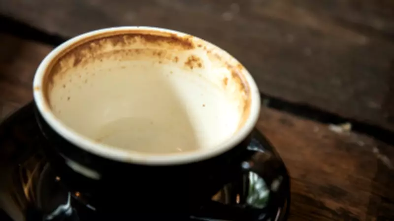 Essential Coffee Maker Cleaning Guide: Top Products for Better Tasting Brews