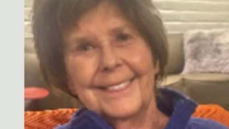 Exclusive Walmart Backpack Key Lead in Search for Savannah Guthrie's Missing Mother