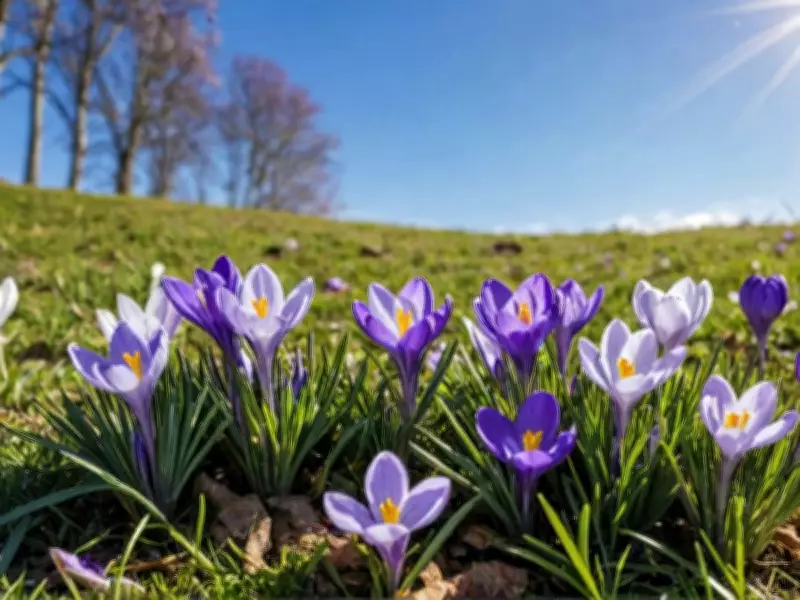 Expert Gardener's February Checklist: Preparing Your Garden for Spring Awakening