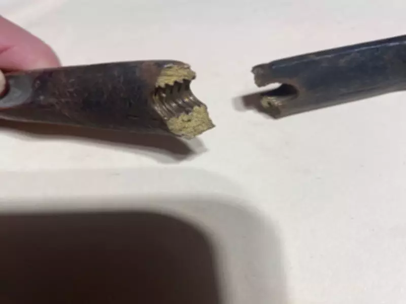 Expert Home Repair Tips: Fixing Bronze, Finishing Wood, and Eliminating Odors