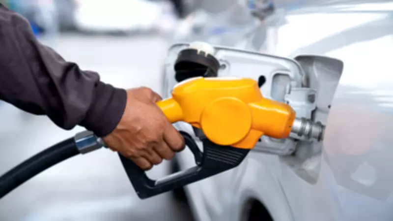 Expert Reveals Simple Car Maintenance Tips That Save Money and Lives