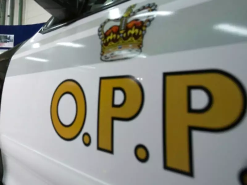Fatal Crash on Hwy. 407 Near Markham Claims Life of Toronto Man