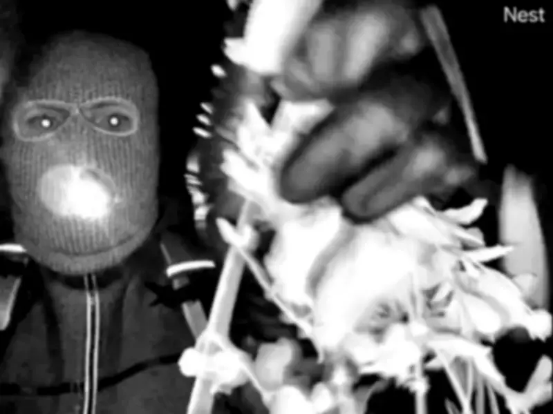 FBI Releases Images of Person of Interest in Nancy Guthrie Kidnapping Case