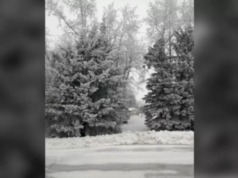 Frost and Rain Cause Widespread Power Outages for 1,400 Manitoba Hydro Customers in Winnipeg