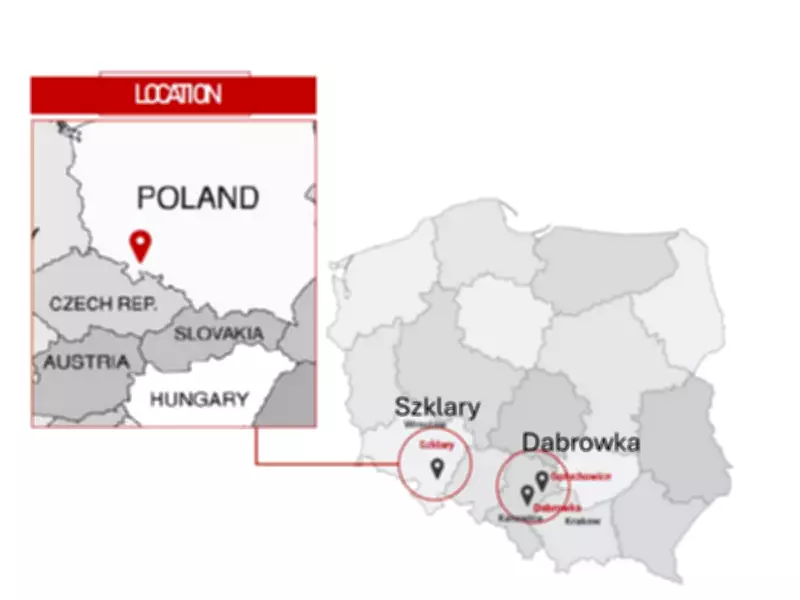 Future Mineral Secures Full Ownership of High-Grade Nickel-Zinc-Lead Project in Poland