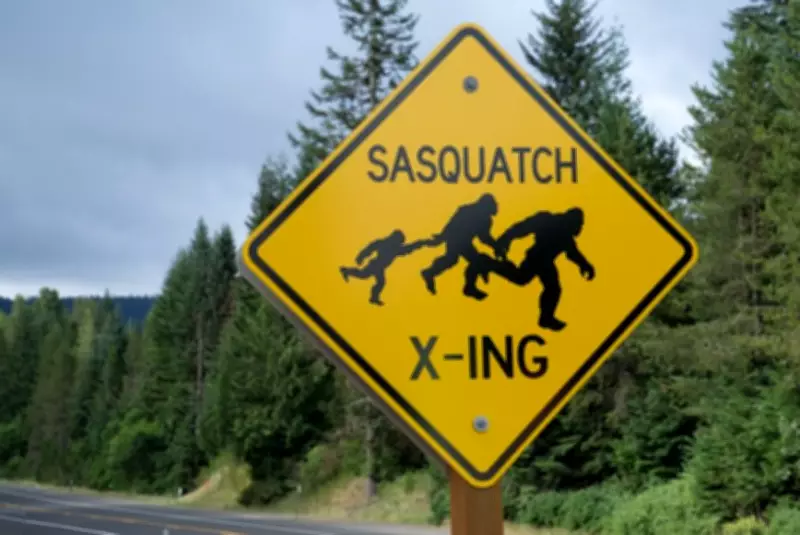 Gambling Blog Calculates Sasquatch Sighting Odds Across North America