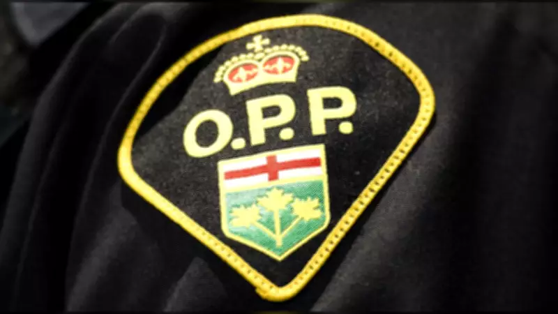 Gravenhurst Man Faces Child Pornography Charges in Ontario Investigation