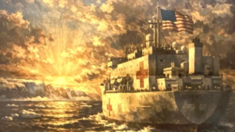 Greenland's PM Declines U.S. Hospital Ship Offer Amid Diplomatic Tensions