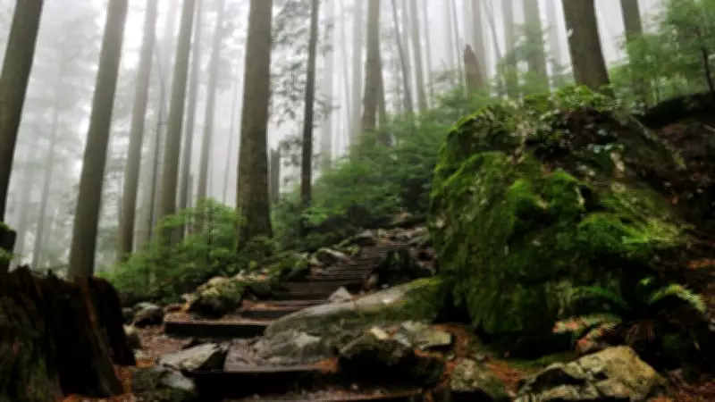 Grouse Grind Opens Early in Vancouver Due to Unseasonably Warm Winter Weather