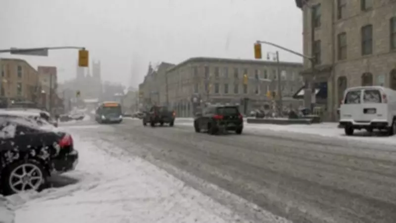 Guelph Man Faces Charges Following Downtown Handgun Incident Reports