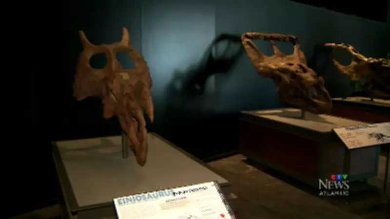 Halifax Museum of Natural History Unveils Dinosaur Exploration 2 Exhibit