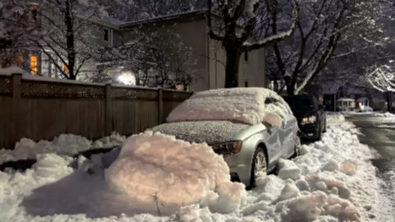 Halifax Police Issue Nearly 300 Tickets as Overnight Parking Ban Lifted