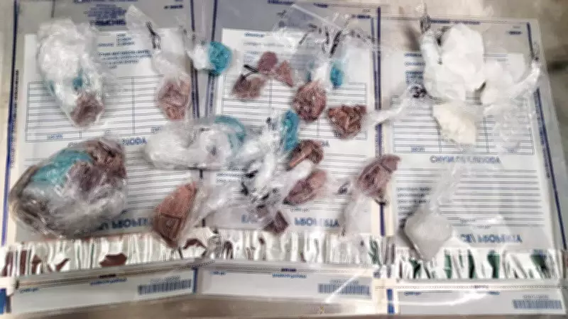 Hamilton Woman Charged After North Bay Police Seize $206K in Drugs