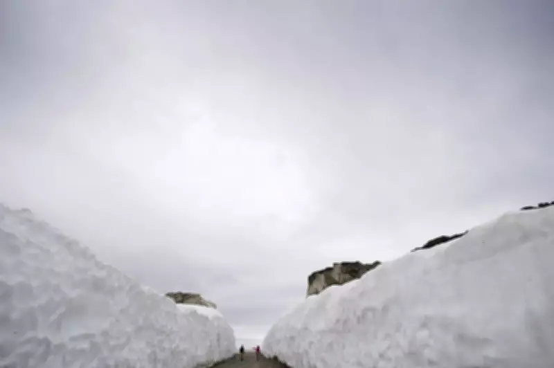 Heavy Snowfall Blankets Whistler and Southern British Columbia