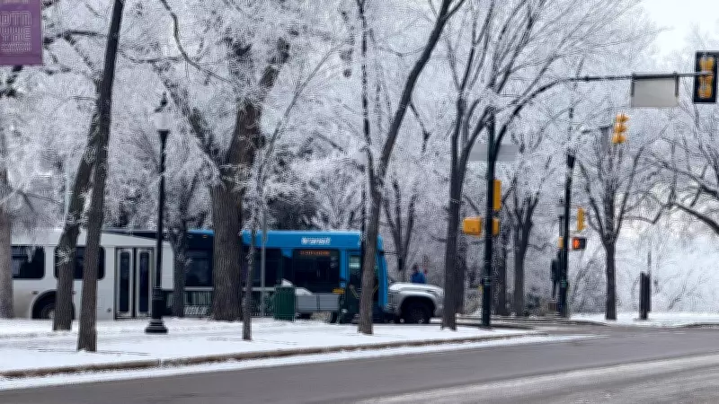 Heavy Snowfall Causes Major Delays for Saskatoon Transit and Access Transit Services