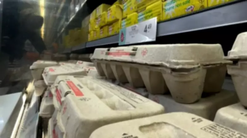 Home Economist Debunks Food Myths to Combat Kitchen Waste in Edmonton