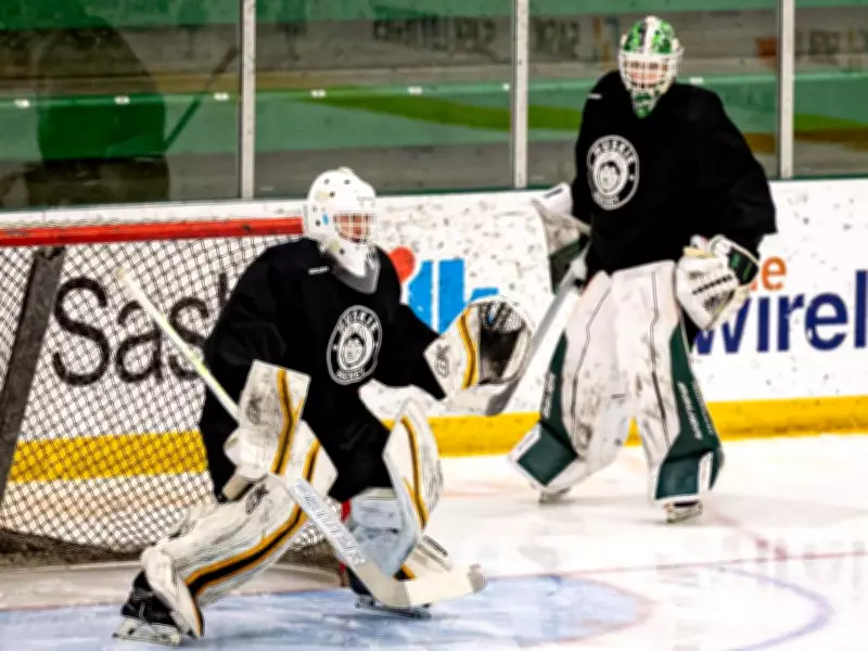 Huskies' Goalie Depth Soars with Former Blades Star Nolan Maier's Return
