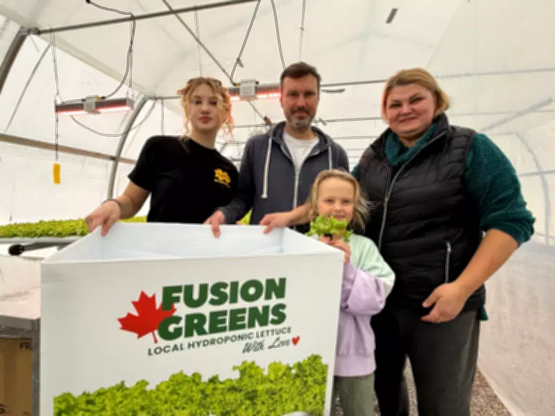 Hydroponic Lettuce Farm in Mississippi Mills Cultivates Canadian Dream