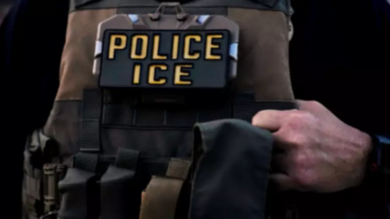 ICE Attorney's Courtroom Outburst Reveals Systemic Chaos in Trump Deportation Operations