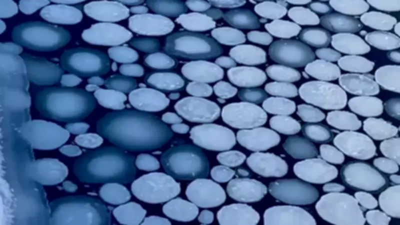 Ice Pancakes: The Rare Natural Phenomenon Explained