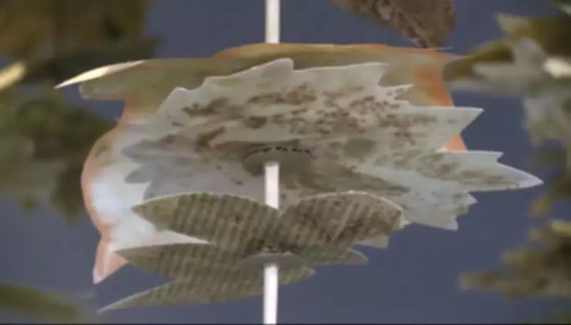 Interactive Art Display Debuts at Bradford West Gwillimbury Library