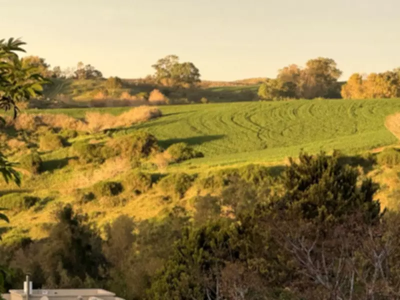 Israelis Navigate Tense Weekend Amid U.S. Strike Threats on Iran