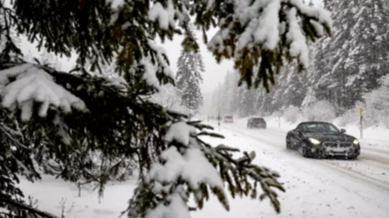 Italian Boy's Bus Fare Ordeal Leads to Olympic Opening Ceremony Role