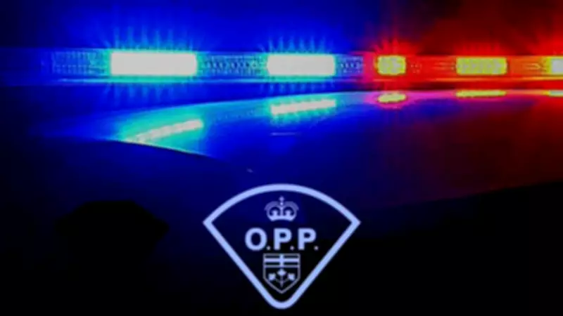 Kingsville Man Faces Impaired Driving Charges Following Serious Collision