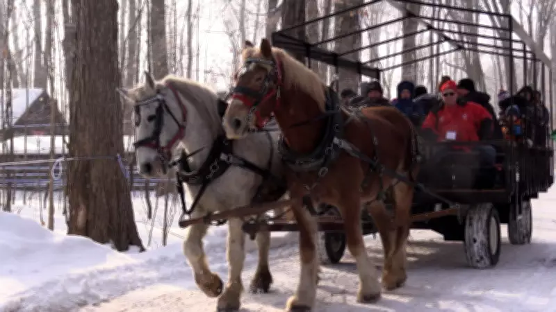 Kinsmen Fanshawe Sugar Bush Opens for 2026 Season with Pancake Breakfasts and Maple Syrup Education