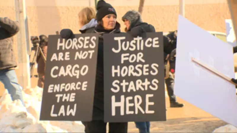 Landmark Animal Welfare Trial Over Horse Exporter Enters Second Day in Winnipeg