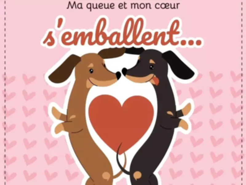 Language Watchdog's Valentine's Post Sparks Controversy Over French Double Entendre