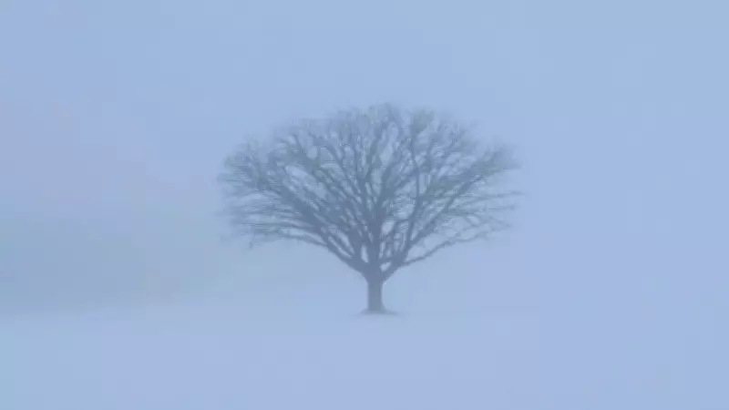 London Bus Cancellations Due to Fog, Freezing Rain Threatens Wednesday