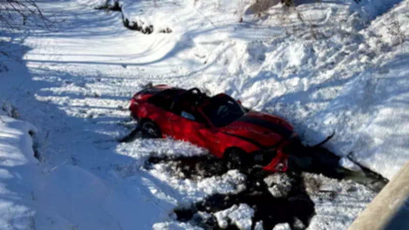 London Driver Rescued After Car Plunges Off Wellington Road Bridge into Dingman Creek