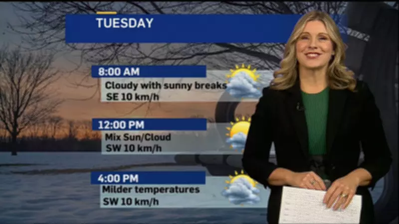 London, Ontario Sees Sunshine and Warmer Temperatures After Weeks of Bitter Cold