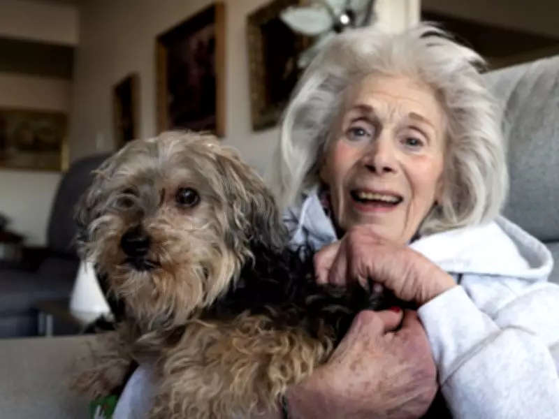 Lost Dog Homer Returns Home After 80 Days Across Montreal