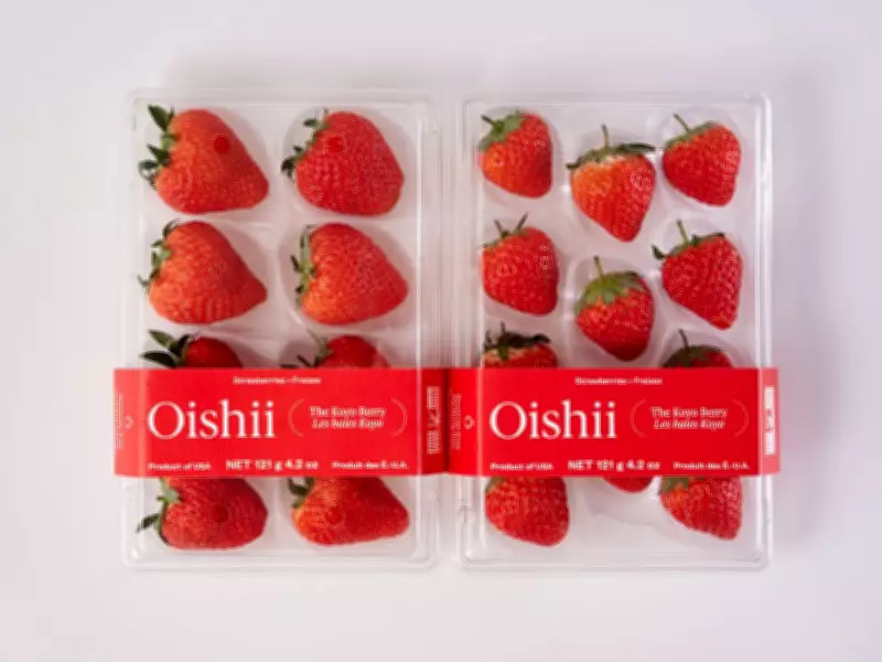 Luxury Japanese Strawberries Arrive in Canada with Premium Price Tag