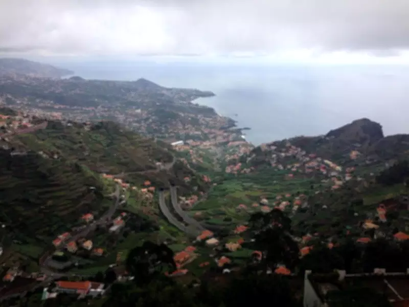 Madeira: The Underappreciated Gem of Fortified Wines