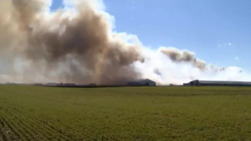 Massive Ohio Hog Farm Fire Kills 6,000 Animals, Smoke Visible for Miles