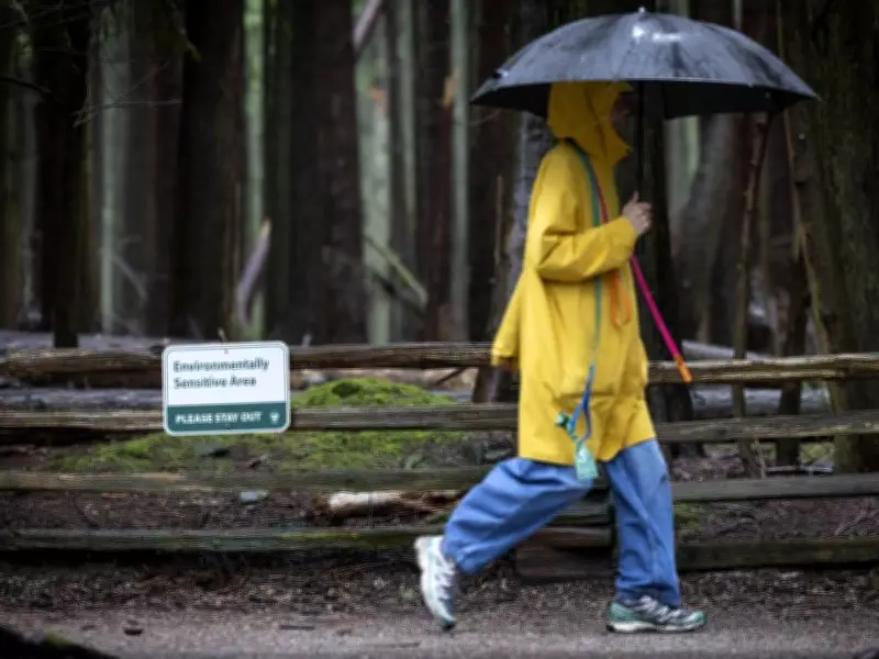 Metro Vancouver Pauses Vote on Reducing Off-Leash Trails in Pacific Spirit Park