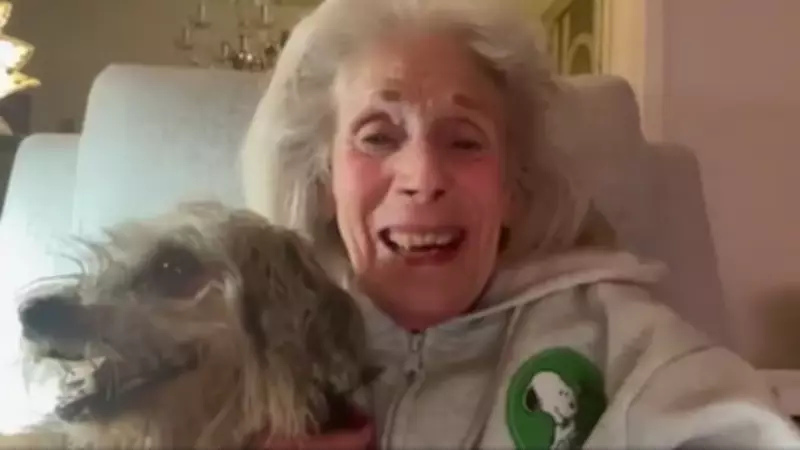 Missing Dog Homer Reunited with Côte Saint-Luc Couple After 80-Day Ordeal