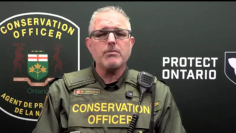 Mississauga Hunter Fined for Illegally Hunting Calf Moose Without License