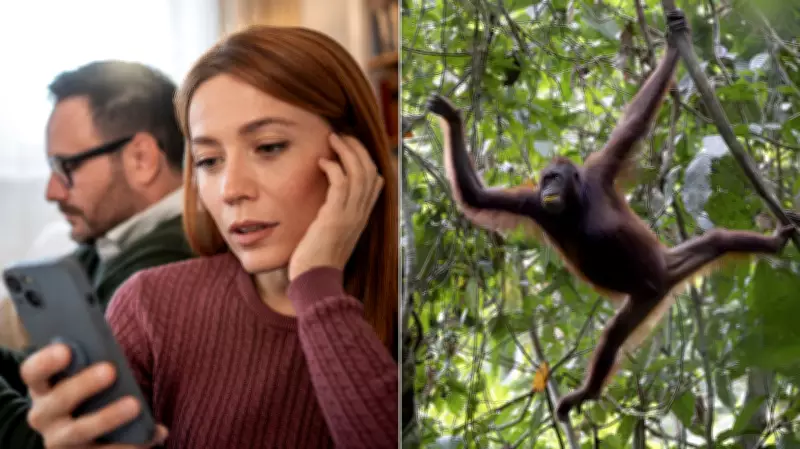 Monkey Branching: The Toxic Dating Trend Experts Warn Destroys Trust