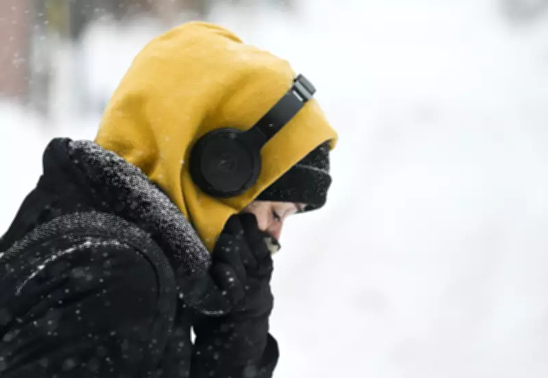 Montreal Braces for Another Winter Blast with Significant Snowfall Expected This Weekend