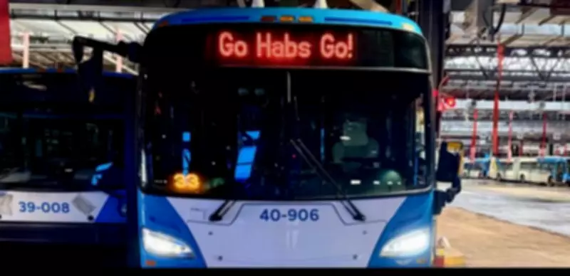 Montreal Buses to Restore 'Go Habs Go!' Display After Language Complaint