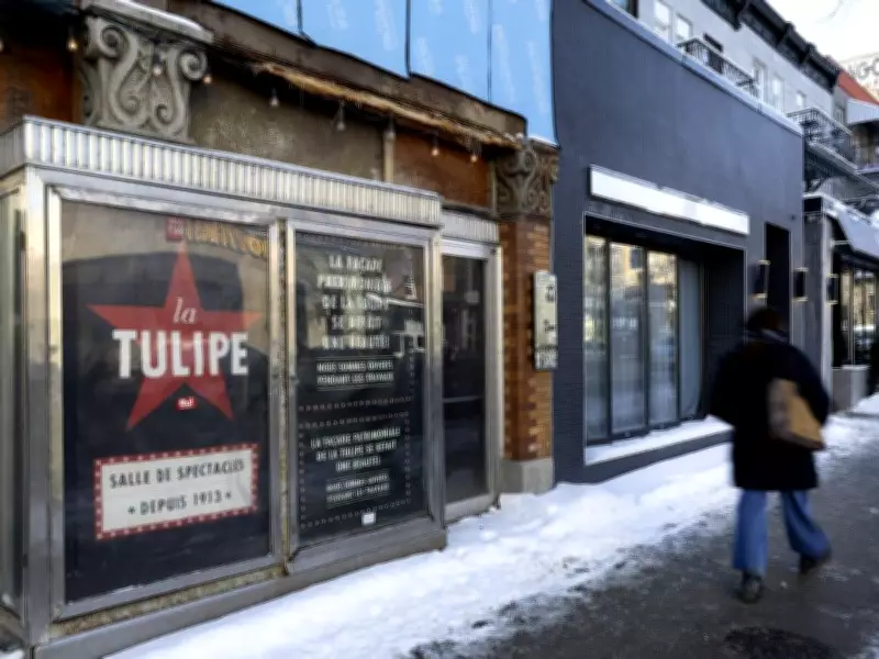 Montreal Mayor Pledges Support for La Tulipe, Seeks Bylaw Changes to Protect Music Venues