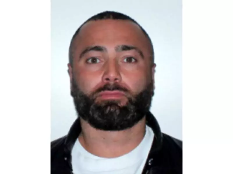 Montreal Mob Boss's Son-in-Law Captured in Mexico on Drug Charges