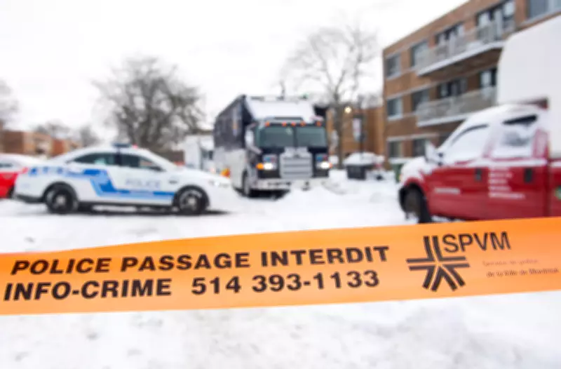 Montreal Senior Safe After Violent Confrontation in Ville-Marie District