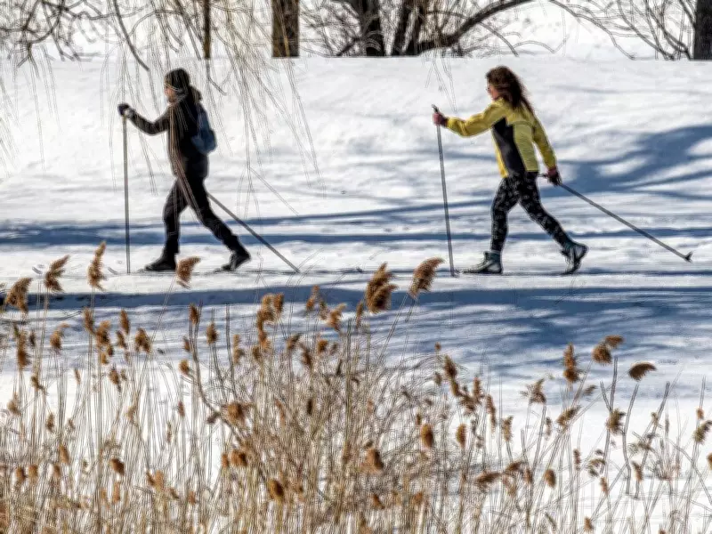 Montreal Weather: Flurries to Clear Skies with Overnight Chill