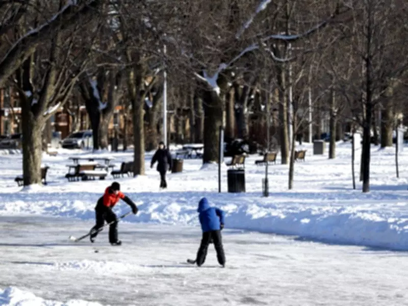 Montreal Weekend Weather: Light Snow Creates Perfect Outdoor Conditions